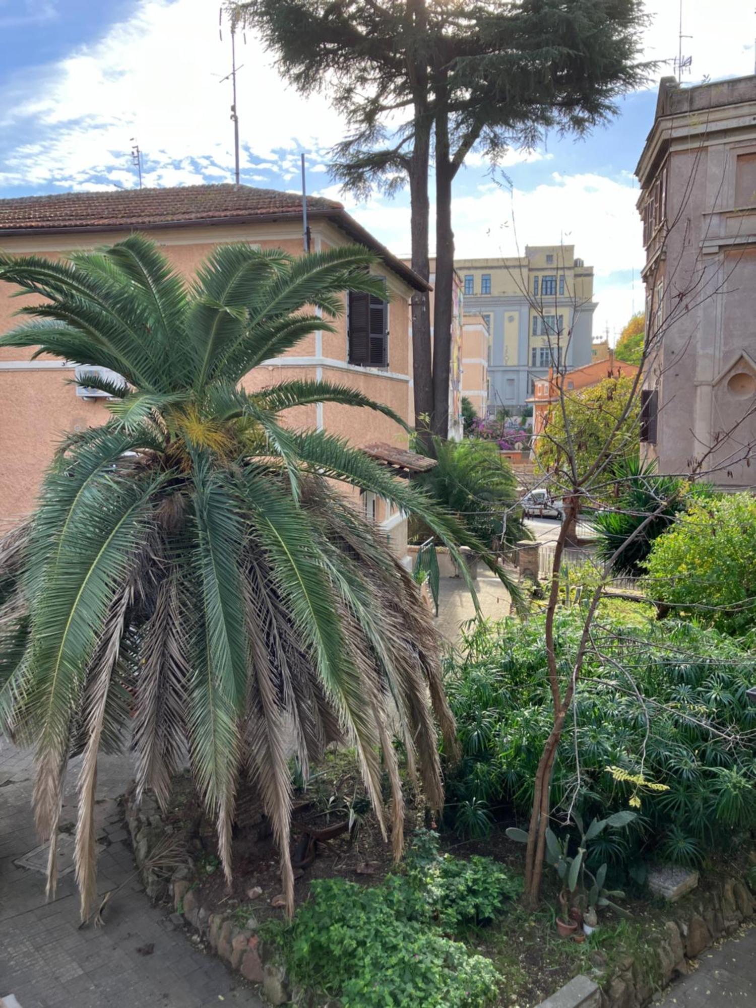 A Casa Di Alfredo Apartment Rome